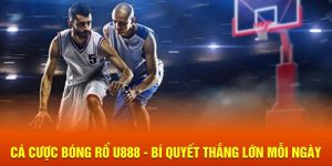 Cá cược bóng rổ U888