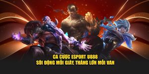 Cá cược esports U888