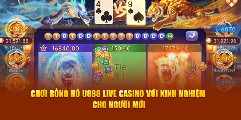 Chơi Rồng Hổ U888 Live Casino với kinh nghiệm cho người mới