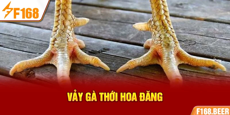 Vảy gà Thới Hoa Đăng