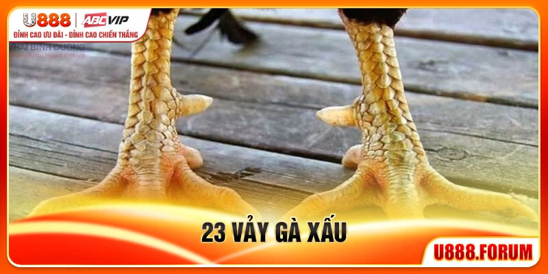 23 Vảy Gà Xấu - Bí Kíp Nhận Biết Gà Dở Trước Khi Cược