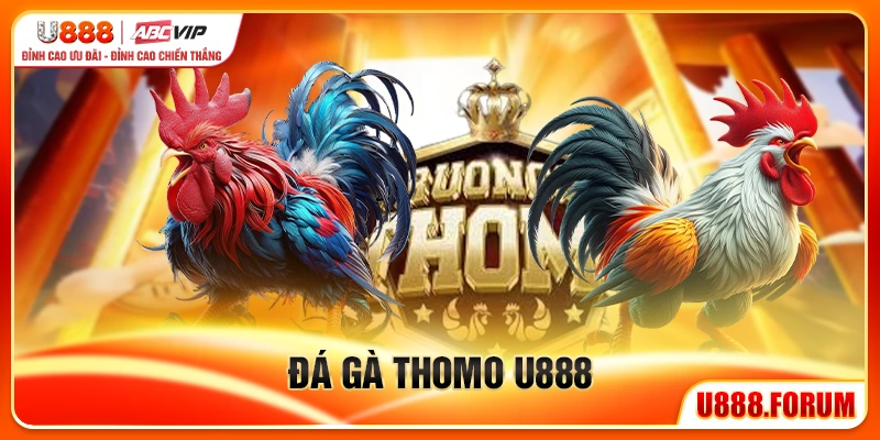 Đá Gà Thomo U888 - Đấu Trường Gà Trực Tiếp Đỉnh Cao Châu Á